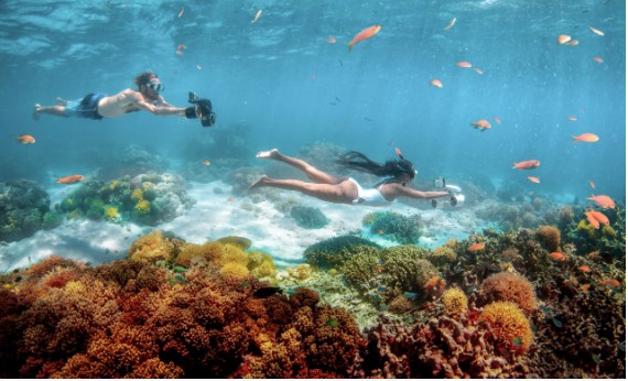 SUBLUE WHITESHARK MIX PRO - 4